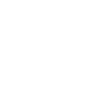 ico-plus